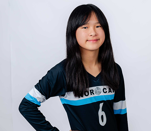 Annli-Lin